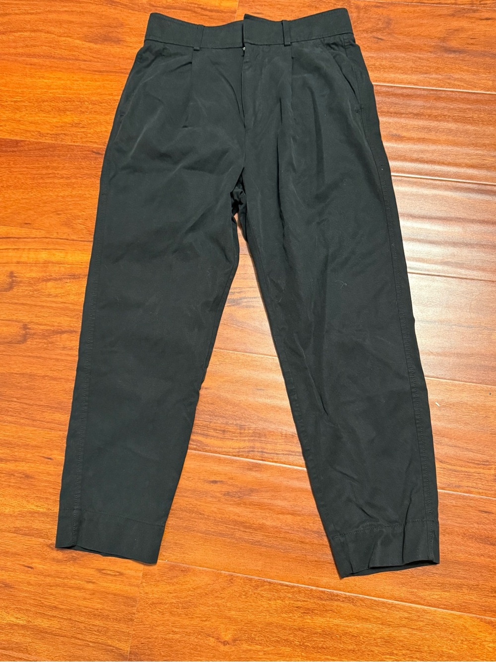 Everlane Black Cropped Pleated Pants